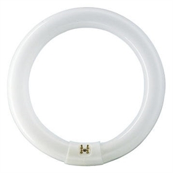 Люм.Лампа Philips G10Q TL-E(кольцевая) 40Вт/33 6500К - фото 6149