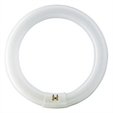 Люм.Лампа Philips G10Q TL-E(кольцевая) 32Вт/33 6500К